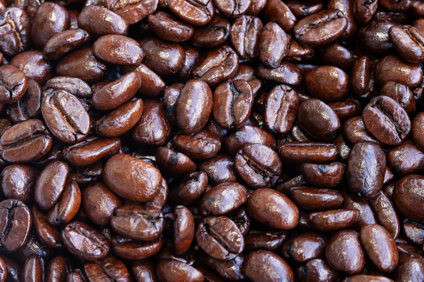 Cold Brew Blend, Medium Dark Coffee