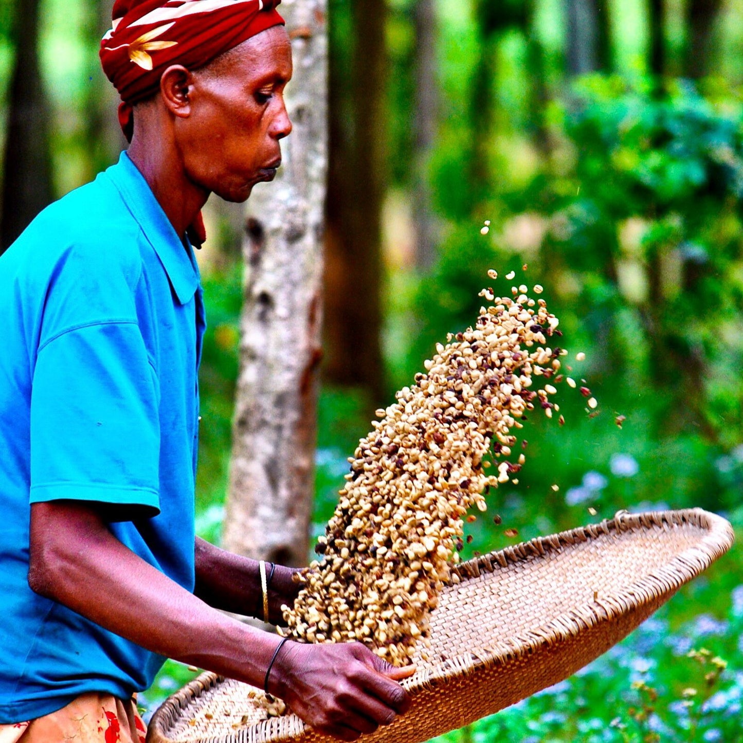 Uganda, Medium Roast Coffee